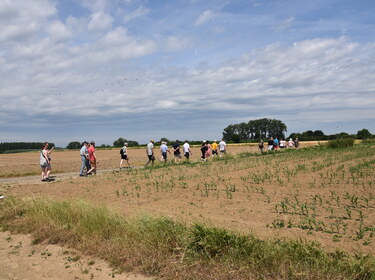 Wandeling naar steenbakker Hove (3)