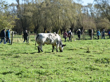 Herfstwandeling Meerbeke 24 okt 2021 (4)