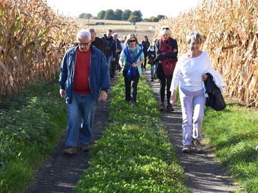 Herfstwandeling Meerbeke 24 okt 2021 (5)