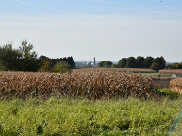 Herfstwandeling Meerbeke 24 okt 2021 (6)