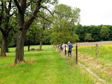 Lentewandeling in en om het Neigembos_25 mei 2025 (14)