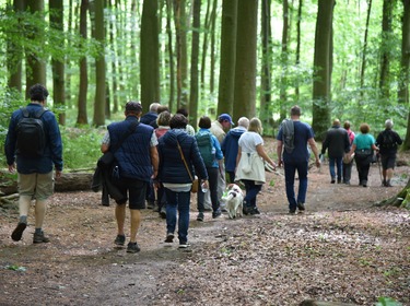 Lentewandeling in en om het Neigembos_25 mei 2025 (21)