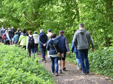 Lentewandeling in en om het Neigembos_25 mei 2025 (4)