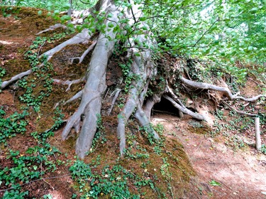 Lentewandeling in en om het Neigembos_25 mei 2025 (5)