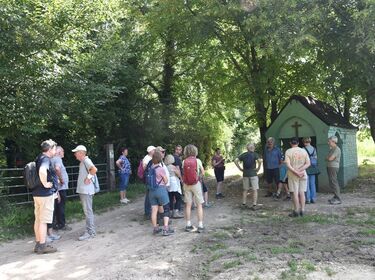 Ochtend Galgenveldwandeling_zondag 13 juli 2025 (13)