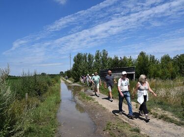Ochtend Galgenveldwandeling_zondag 13 juli 2025 (15)