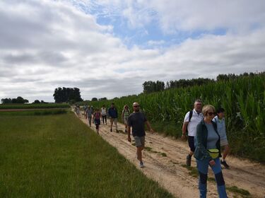 Ochtend Galgenveldwandeling_zondag 13 juli 2025 (3)