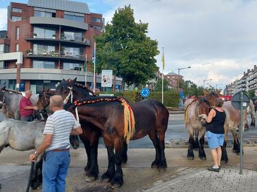 Jaarmarkt 2022