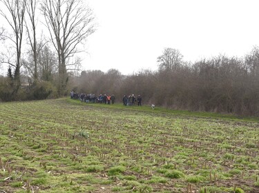 Wandeling in Nederhasselt op zondag 12 maart 2023(11)