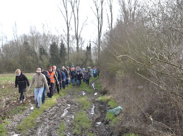 Wandeling in Nederhasselt op zondag 12 maart 2023(12)