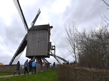 Wandeling in Nederhasselt op zondag 12 maart 2023(13)