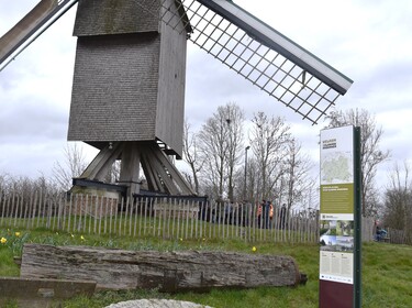 Wandeling in Nederhasselt op zondag 12 maart 2023(16)