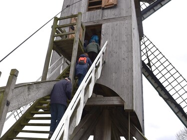 Wandeling in Nederhasselt op zondag 12 maart 2023(18)