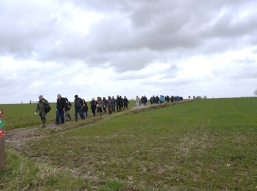 Wandeling in Nederhasselt op zondag 12 maart 2023(6)