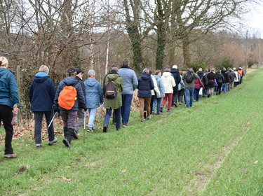 Winterwandeling Ninove-Meerbeke_11 februari 2024 (17)