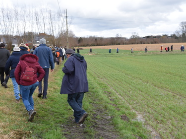 Winterwandeling Ninove-Meerbeke_11 februari 2024 (18)