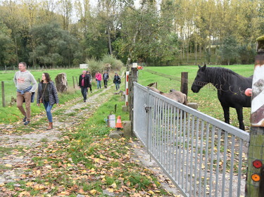 Zomerwandelzoektocht-Oplossingen (16)