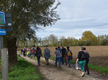 Zomerwandelzoektocht-Oplossingen (3)