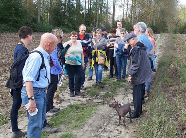 Zomerwandelzoektocht-Oplossingen (4)